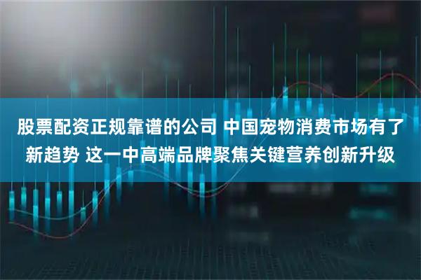 股票配资正规靠谱的公司 中国宠物消费市场有了新趋势 这一中高端品牌聚焦关键营养创新升级